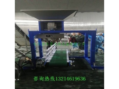 莱西市木炭生物质颗粒自动定量包装称多少钱图3