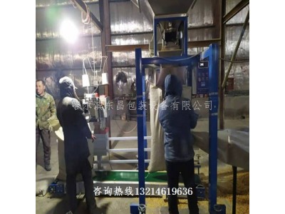 清原满族自治县木炭生物质颗粒电动定量灌包机性价比高质量好图2