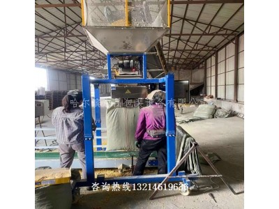 绥中县黄豆绿豆自动抱袋电动定量打包机耐低温精度高图2