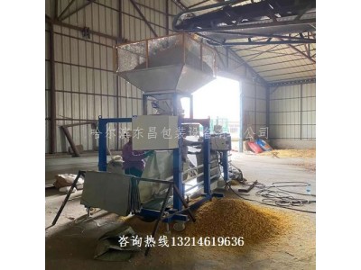 绥中县黄豆绿豆自动抱袋电动定量打包机耐低温精度高图3