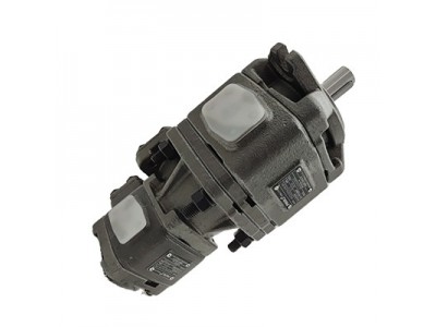 沃特  齿轮泵  油泵 叶片泵HG1-25-01R-VPC