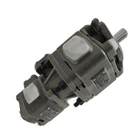 沃特  齿轮泵  油泵 叶片泵HG0-20-01