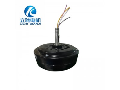 装饰扇无刷直流大量高转12V低压智能电机图4