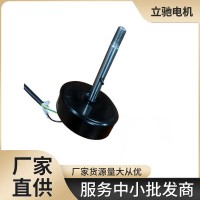 摇头扇无刷直流大量高转12V低压智能电机