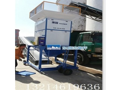 海南省100吨每小时精度高电动流量称的价格图2