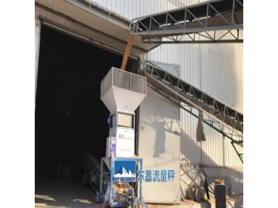 海南省100吨每小时精度高电动流量称的价格图3