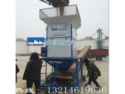 内蒙古自治区100吨每小时原粮计量秤销售地点图2