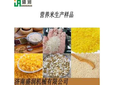 人造大米生产线配件 黄金米生产线模具 自热米饭审生产设备模具图2