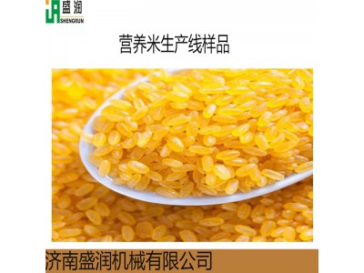 人造大米生产线配件 黄金米生产线模具 自热米饭审生产设备模具图3