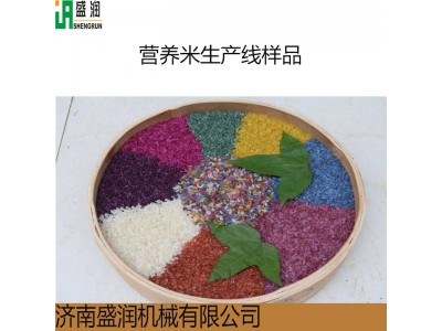 人造大米生产线配件 黄金米生产线模具 自热米饭审生产设备模具图4