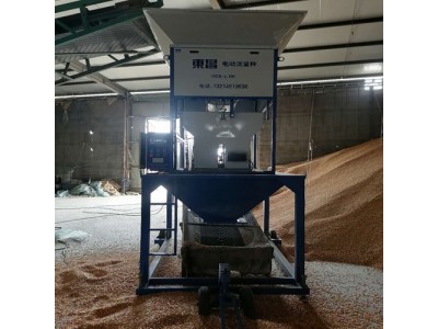 集贤县电动散料累加秤东昌厂家销售地点图2