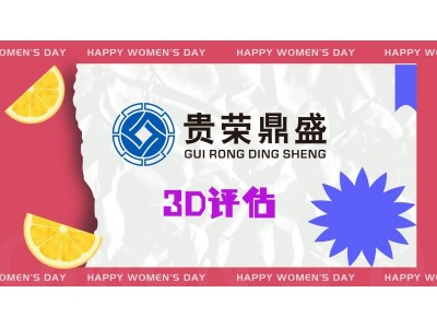 江苏镇江旅游景区评估3D评估集成电路厂评估新讯图3