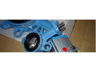 进口原装KSB蝶阀 德国凯士比蝶阀图2