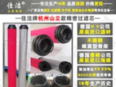 杭州山立压缩机精密过滤芯SLAF-25HC/B