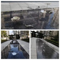 海口地产小水景 抽象鱼不锈钢镜面雕塑定制