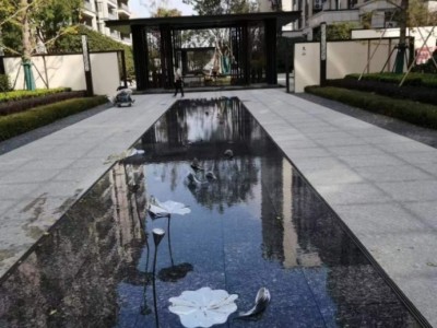 海口地产小水景 抽象鱼不锈钢镜面雕塑定制图2