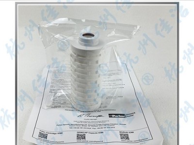 100WS25-130 10CJEK 10CJDK 多明尼克