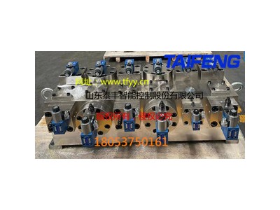 山东泰丰二通插装阀