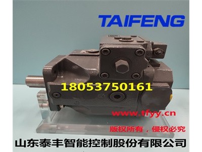 山东泰丰厂家供应柱塞泵