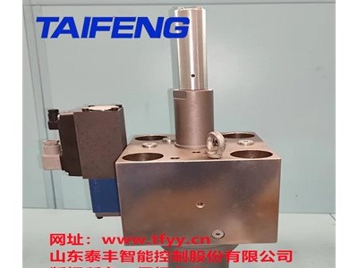 泰丰直销双主动型比例二通插装阀