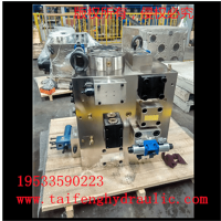 YN32-315HGBCV-00二通插装阀泰丰供应