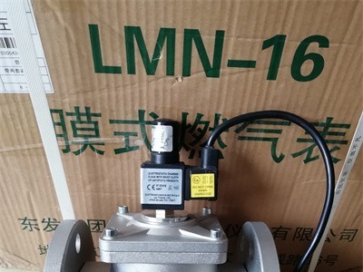 Elektrogas伊莱克斯EVRM6 NC紧急切断阀图3