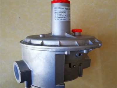 燃烧机减压阀30164/DN40菲奥调压阀图3