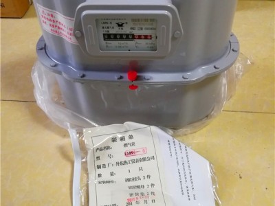 丹东热工仪表LMN-6 LMN-10膜式燃表