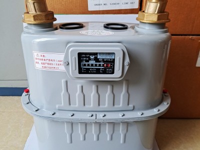 LMN-100 LMN-65丹东燃表