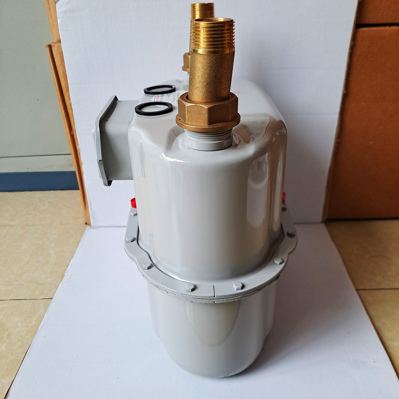 LMN-100 LMN-65丹东燃表