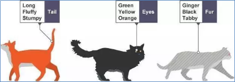 极客晨星：厉害了我的娃！没想到少儿编程的好处这么多！