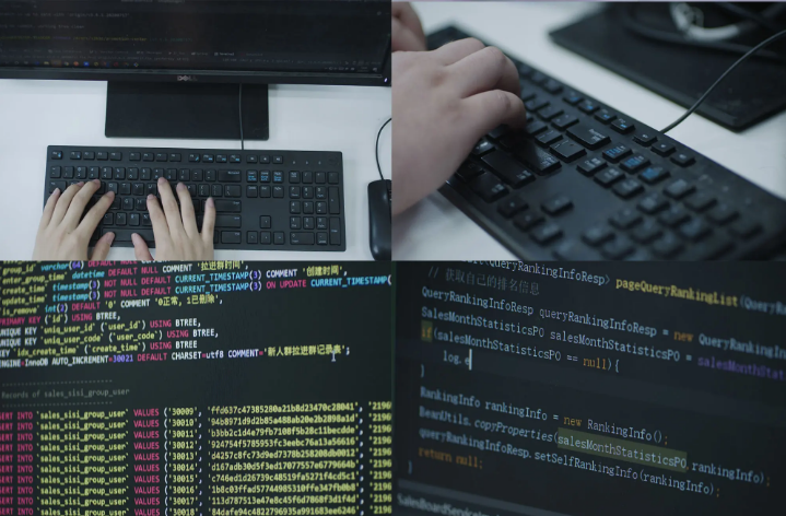 哪种编程语言容易入门？