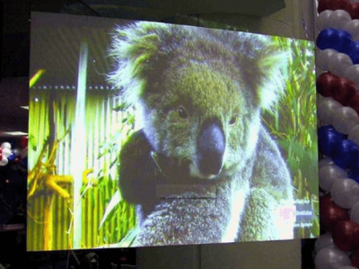 全息膜深圳厂家批发 互动展览橱窗展示 正背投全息膜图2