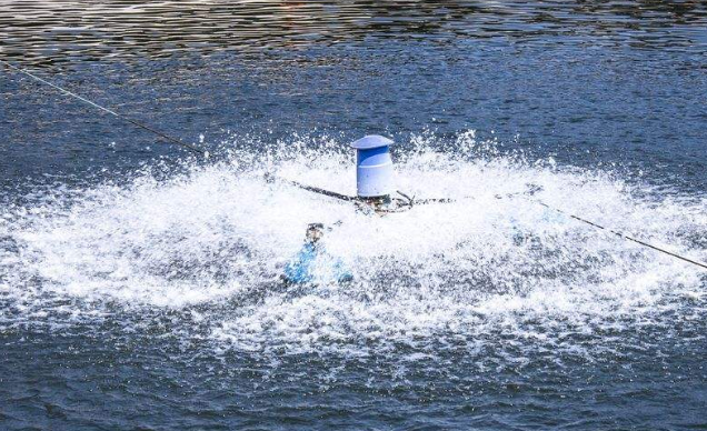 鱼塘增氧机多少钱？ 什么时候开什么时候不开？