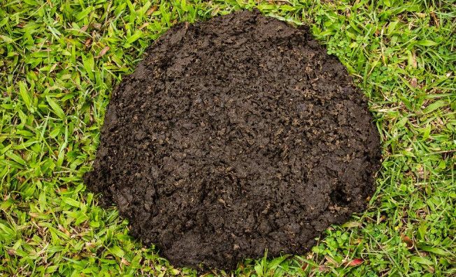 选购有机肥需要遵循的三大原则