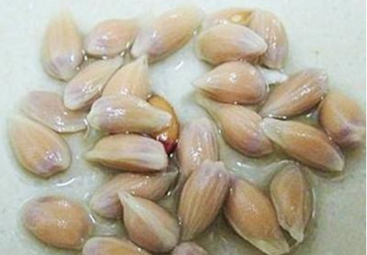 如何在自己家的阳台种柠檬呢？