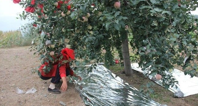 反光膜着色的原理及铺设方法说明