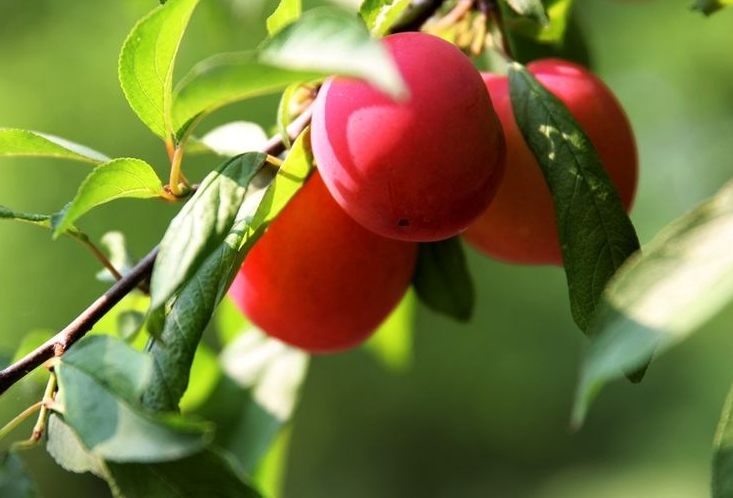 反光膜着色的原理及铺设方法说明