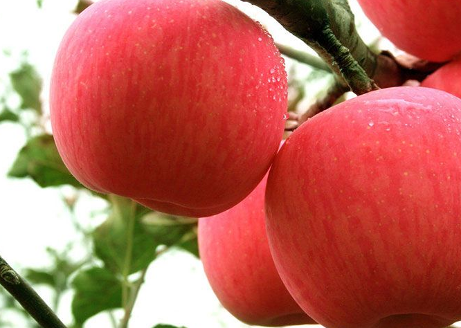 反光膜着色的原理及铺设方法说明