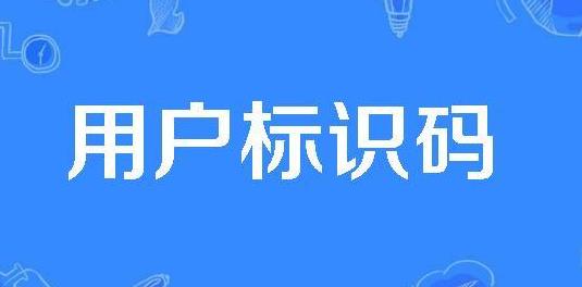 标识码是什么（联系矢量数据和与其对应的属性数据的关键字）