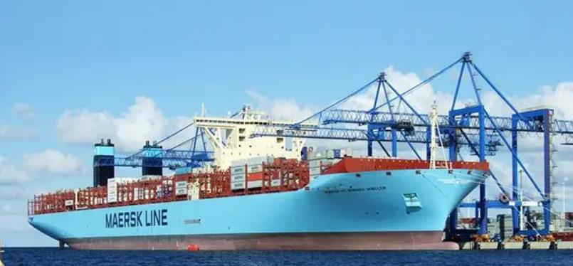 教你看懂船公司SO文件英文解释