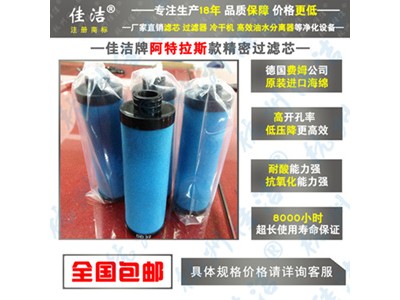 精密滤芯2901200311 2901200411