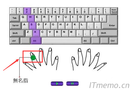 左手无名指控制的区域