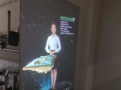 广东全息投影设备 玻璃成像膜橱窗广告背投贴膜 投影幕布透明膜图1