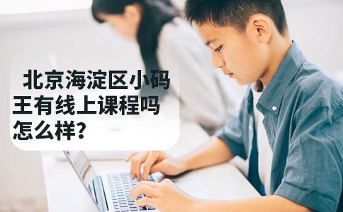 北京海淀区小码王有线上课程吗？怎么样？