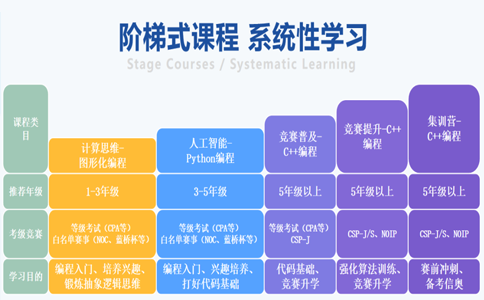 小码王信奥集训营价格