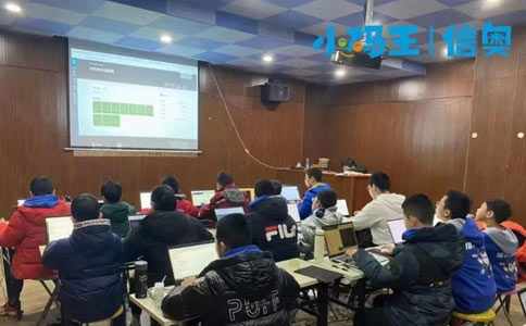 小码王少儿编程