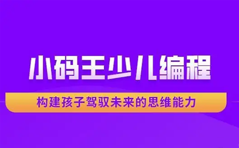 小码王编程怎么样收费