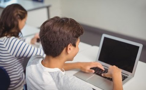 小码王线上80节课多少钱