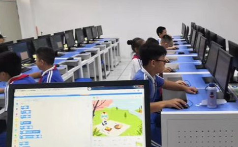 小码王和核桃编程哪个好一点